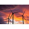 Green renewable energy concept - wind generator turbines in sky on sunset