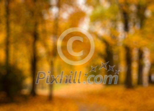 Defocused blurred autum background - valley in fall with yellow tree leaves