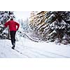 Cross-country skiing: young man cross-country skiing on a lovely sunny winter day