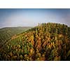 Autumn forest aerial view