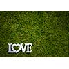 Love is in the air and on the green - Word LOVE lying in lush, well cut grass - Wedding day concept