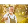 Portrait of a handsome senior man gardening in his garden, on a lovely spring day (color toned image)