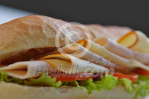 fresh sandwich close up with vegetables and meat fish isolated on white background