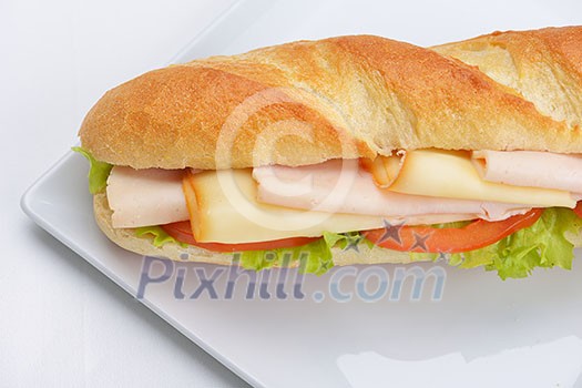 fresh sandwich close up with vegetables and meat fish isolated on white background