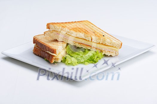 fresh sandwich close up with vegetables and meat fish isolated on white background fresh sandwich close up with vegetables and meat fish isolated on white background