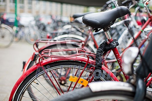 Bike rental service - Many bikes standing in bike stands, available for rent as a great mean of transport in the city