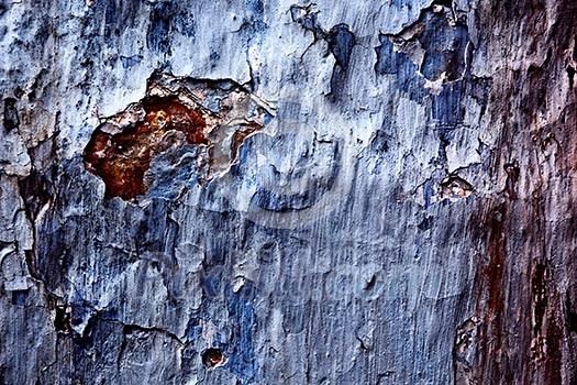 Painted plaster wall texture Painted plaster wall texture