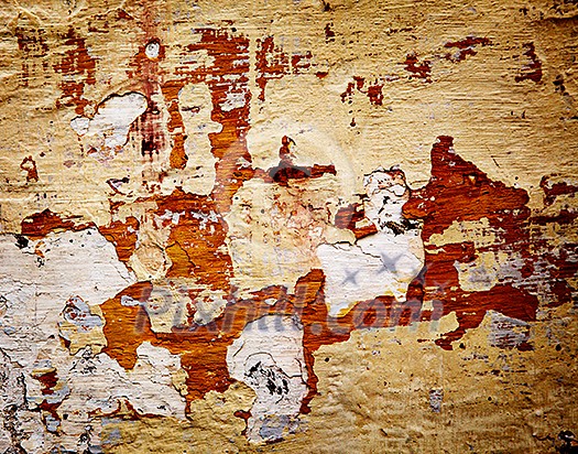 Painted plaster wall texture Painted plaster wall texture