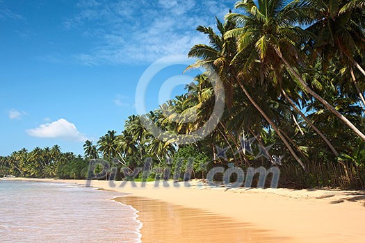Tropical paradise idyllic beach. Sri Lanka Tropical paradise idyllic beach. Sri Lanka