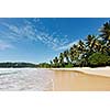 Tropical paradise idyllic beach.  Mirissa, Sri Lanka
