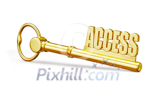 Access concept - golden access key made of gold isolated on white background Access concept - golden access key made of gold isolated on white background