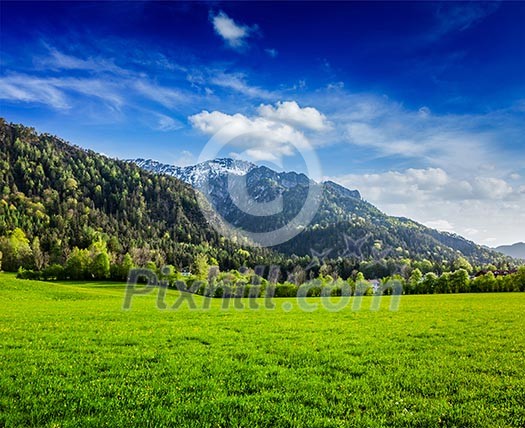 Alpine meadow in Bavarian Alps. Bavaria, Germany