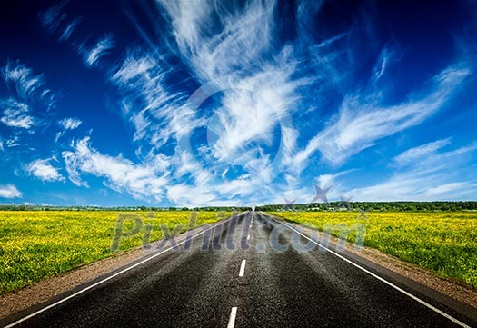 Travel concept background - road in blooming spring meadow