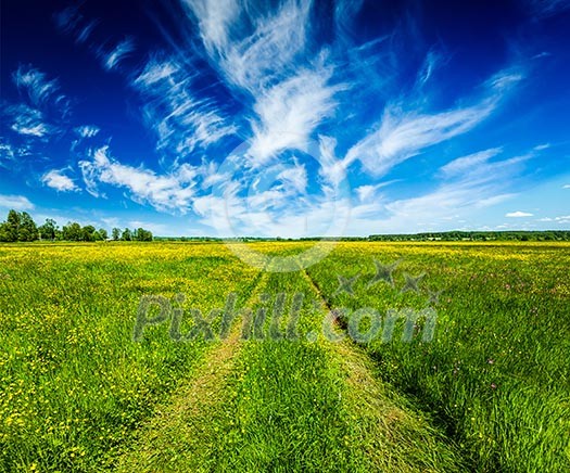 Spring summer background - rural road in green grass field meadow scenery lanscape with blue sky Spring summer background - rural road in green grass field meadow scenery lanscape with blue sky