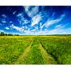 Spring summer background - rural road in  green grass field meadow scenery lanscape with blue sky