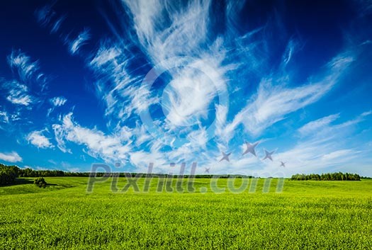 Spring summer background - green grass field meadow scenery lanscape with blue sky