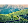 Vintage retro effect filtered hipster style image of Kerala India travel background - green tea plantations in Munnar, Kerala, India - tourist attraction