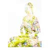 Nature harmony healthy lifestyle concept - double exposure image of  woman doing yoga asana Lotus Position padmasana with bhairava mudra asana exercise. Cross-legged sitting asana for meditation