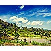 Vintage retro effect filtered hipster style image of green rice terraces on Bali island