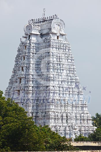 Gopura (tower) of Sri Ranganathaswamy temple Gopura (tower) of Sri Ranganathaswamy temple