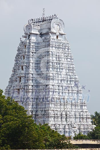 Gopura (tower) of Sri Ranganathaswamy temple