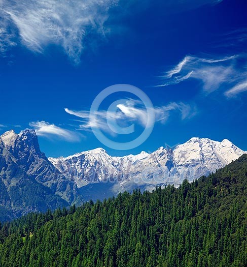 Himalayas and forest. India