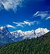 Himalayas and forest. India