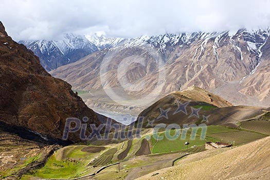 Fields in Spiti Valley in Himalayas. Himachal Pradesh, India Fields in Spiti Valley in Himalayas. Himachal Pradesh, India