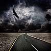 Storm, bird, road in desert