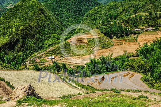 Rice field terraces rice paddy. Near Cat Cat village, near Sapa, VIetnam Rice field terraces rice paddy. Near Cat Cat village, near Sapa, VIetnam