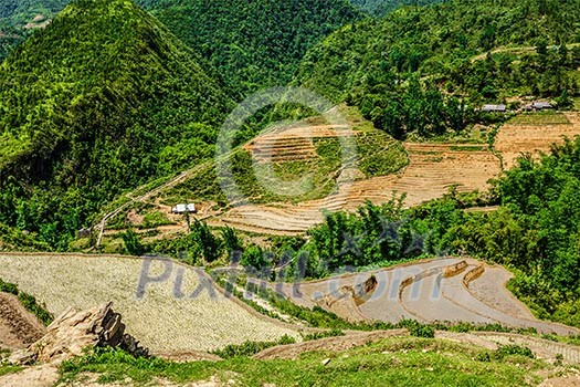 Rice field terraces rice paddy. Near Cat Cat village, near Sapa, VIetnam