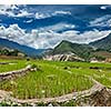 Rice field terraces (rice paddy). Near Cat Cat village, near Sapa, Vietnam