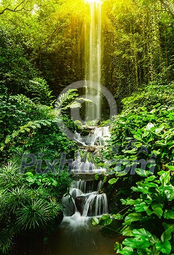 Tropical waterfall in forest Tropical waterfall in forest