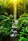 Tropical waterfall in forest