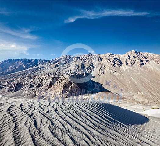 Sand dunes in Himalayas. Hunder, Nubra valley, Ladakh, India Sand dunes in Himalayas. Hunder, Nubra valley, Ladakh, India