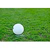 white Soccer ball on grass at goal and stadium in background