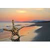 summer beach sunset with star on beach representing freedom freshnes and travel concept
