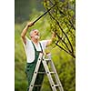 portrait of a senior man gardening in his garden (color toned image)