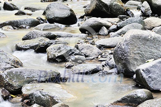 fresh water wild creek in forest at beautiful nature landscape fresh water wild creek in forest at beautiful nature landscape