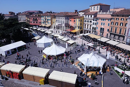 ancient italian city verona