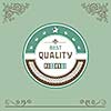 vector vintage badges and labels  