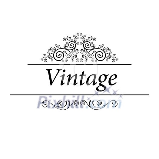 vector vintage badges and labels   