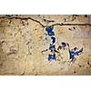 Texture grunge background of painted plaster wall