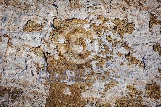 Texture grunge background of painted plaster wall Texture grunge background of painted plaster wall