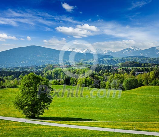Road in pastoral idyllic german countryside with Bavarian Alps in background on beautiful summer day