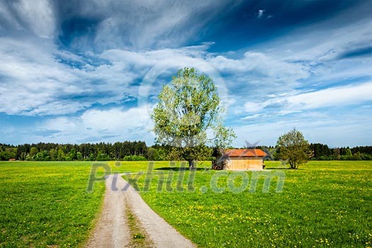 Parstoral European scene - rural road in summer meadow, tree and wooden shed. Bavaria, Germany