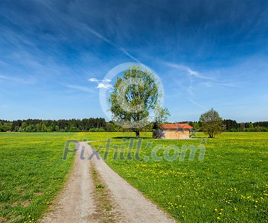 Rural road in summer meadow with wooden shed. Bavaria, Germany