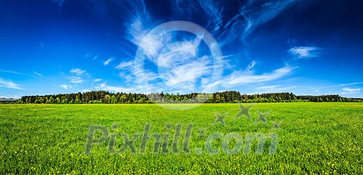 Panorama of summer meadow pastoral idyllic serene scene. Bavaria, Germany