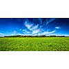 Panorama of summer meadow pastoral idyllic serene scene. Bavaria, Germany