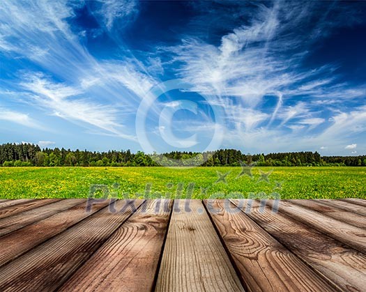 Wooden planks floor against peaceful summer meadow background